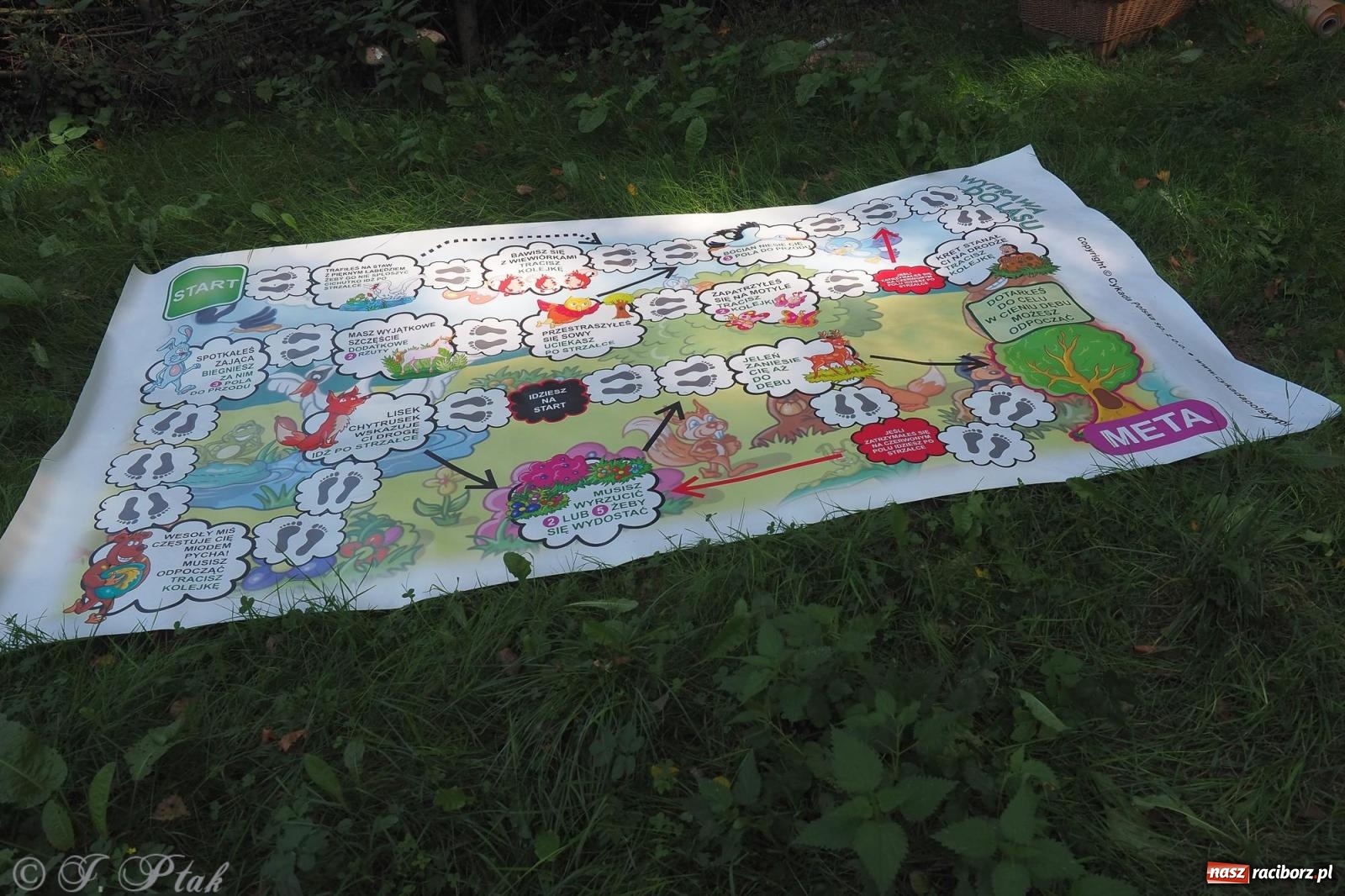 Zdjęcie w galerii na portalu naszraciborz.pl: Harmonia i balans. Las Obora dobry dla duszy i ciała [FOTO i WIDEO] wiadomości z regionu