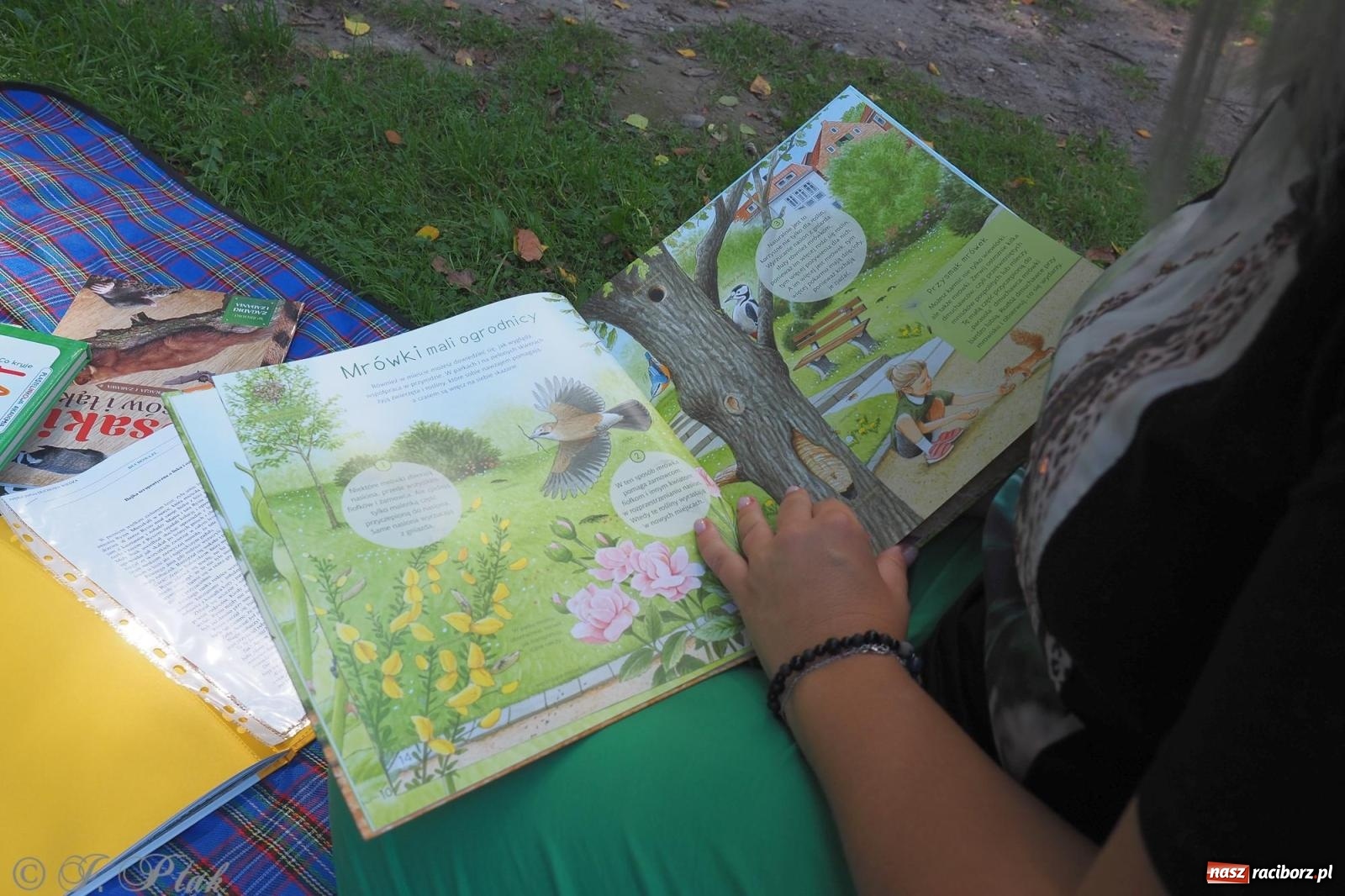 Zdjęcie w galerii na portalu naszraciborz.pl: Harmonia i balans. Las Obora dobry dla duszy i ciała [FOTO i WIDEO] wiadomości z regionu