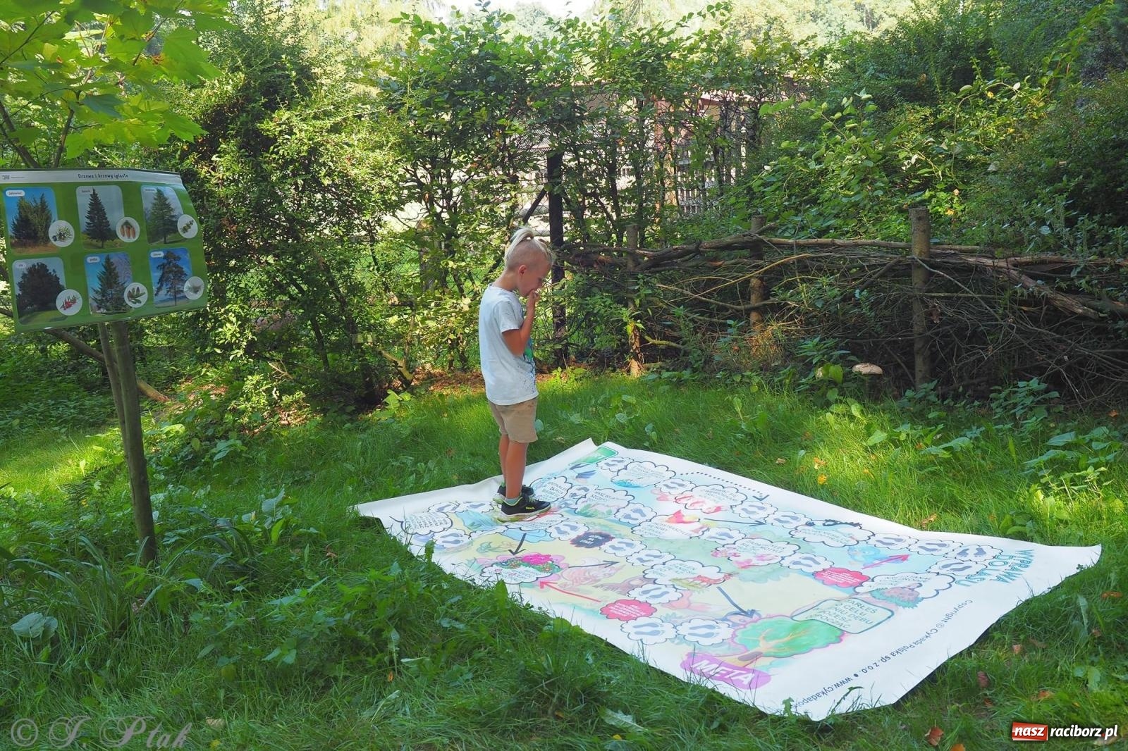 Zdjęcie w galerii na portalu naszraciborz.pl: Harmonia i balans. Las Obora dobry dla duszy i ciała [FOTO i WIDEO] wiadomości z regionu
