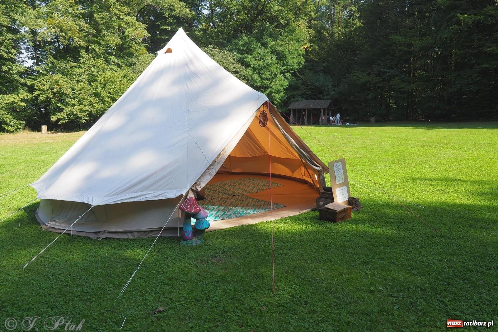Zdjęcie w galerii na portalu naszraciborz.pl: Harmonia i balans. Las Obora dobry dla duszy i ciała [FOTO i WIDEO] wiadomości z regionu