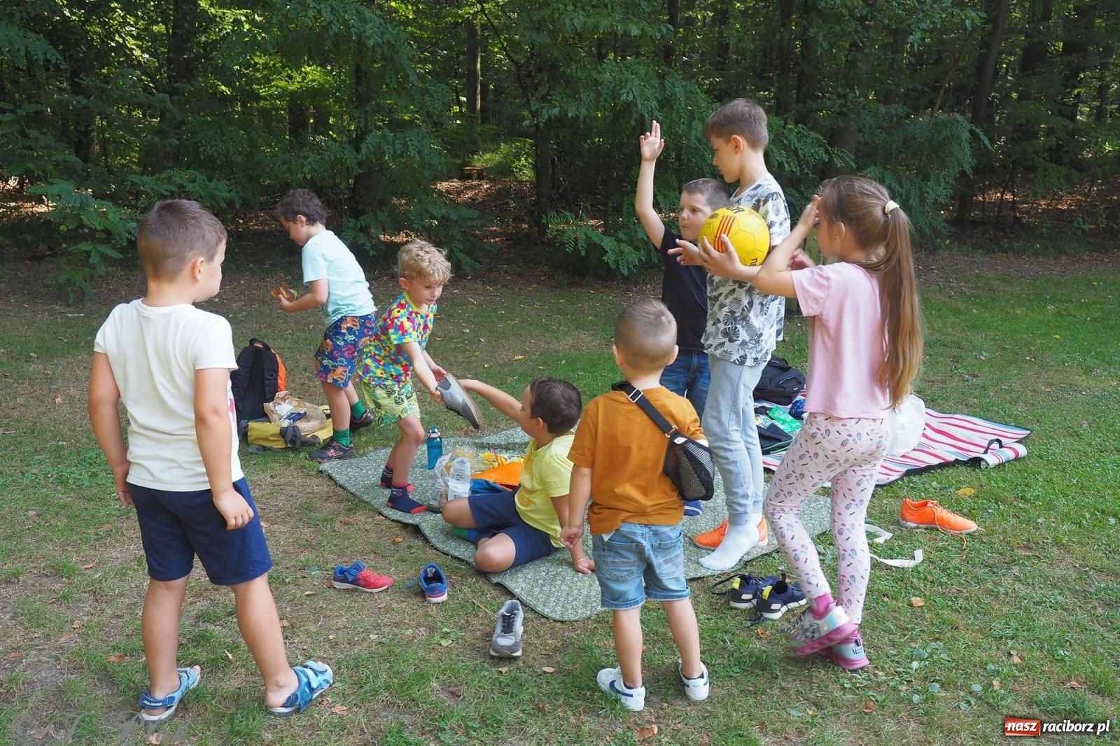 Zdjęcie w galerii na portalu naszraciborz.pl: Harmonia i balans. Las Obora dobry dla duszy i ciała [FOTO i WIDEO] wiadomości z regionu