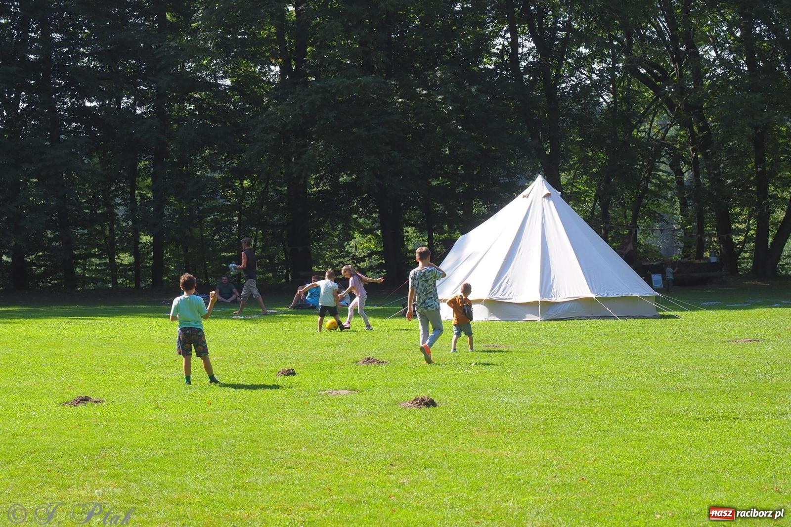 Zdjęcie w galerii na portalu naszraciborz.pl: Harmonia i balans. Las Obora dobry dla duszy i ciała [FOTO i WIDEO] wiadomości z regionu