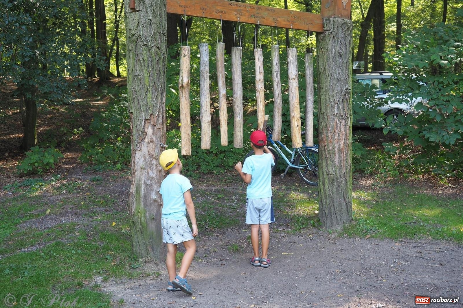 Zdjęcie w galerii na portalu naszraciborz.pl: Harmonia i balans. Las Obora dobry dla duszy i ciała [FOTO i WIDEO] wiadomości z regionu