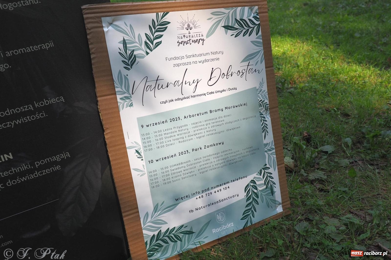 Zdjęcie w galerii na portalu naszraciborz.pl: Harmonia i balans. Las Obora dobry dla duszy i ciała [FOTO i WIDEO] wiadomości z regionu