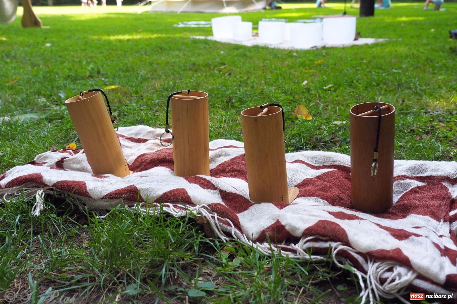 Zdjęcie w galerii na portalu naszraciborz.pl: Harmonia i balans. Las Obora dobry dla duszy i ciała [FOTO i WIDEO] wiadomości z regionu