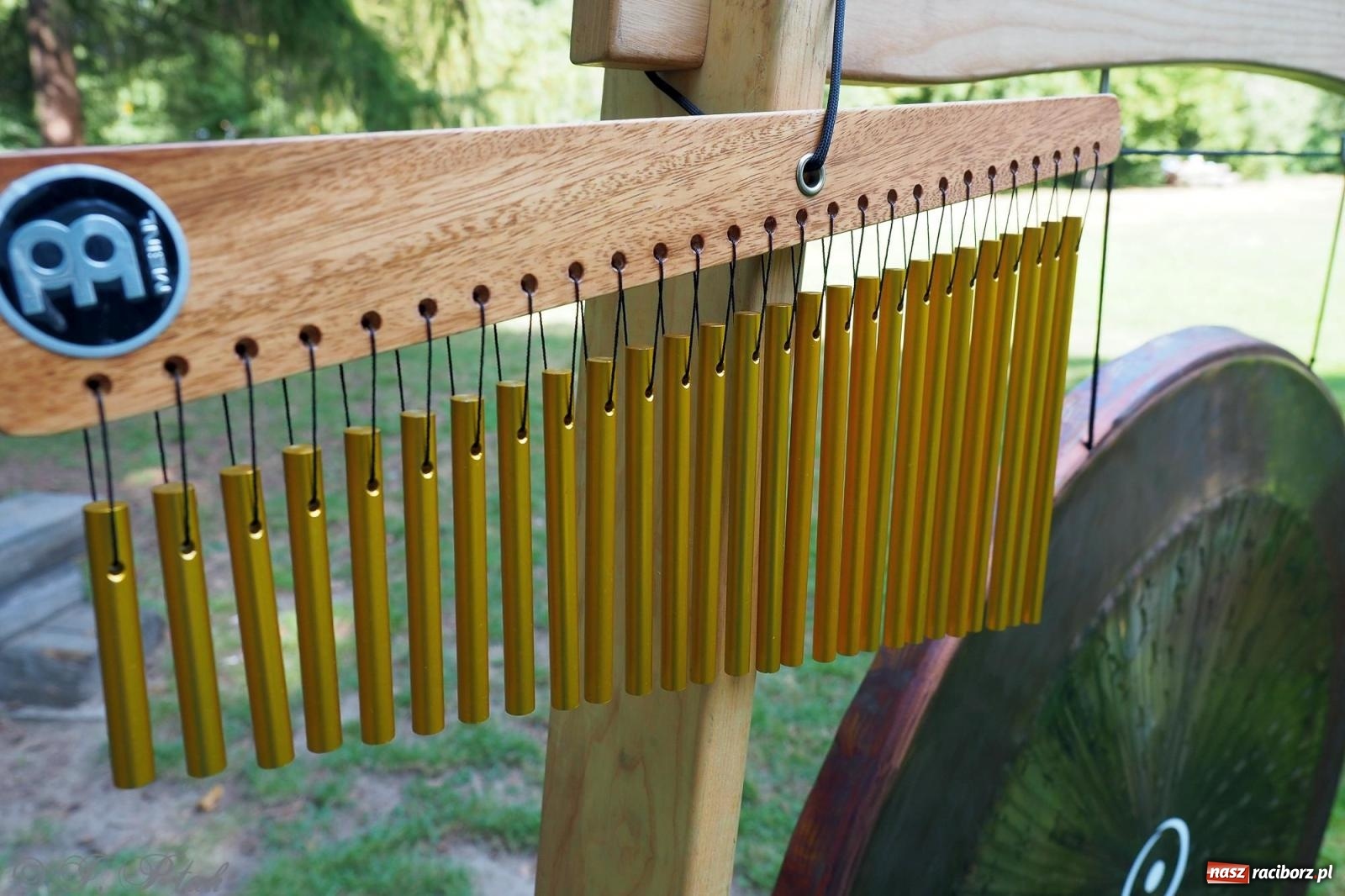 Zdjęcie w galerii na portalu naszraciborz.pl: Harmonia i balans. Las Obora dobry dla duszy i ciała [FOTO i WIDEO] wiadomości z regionu