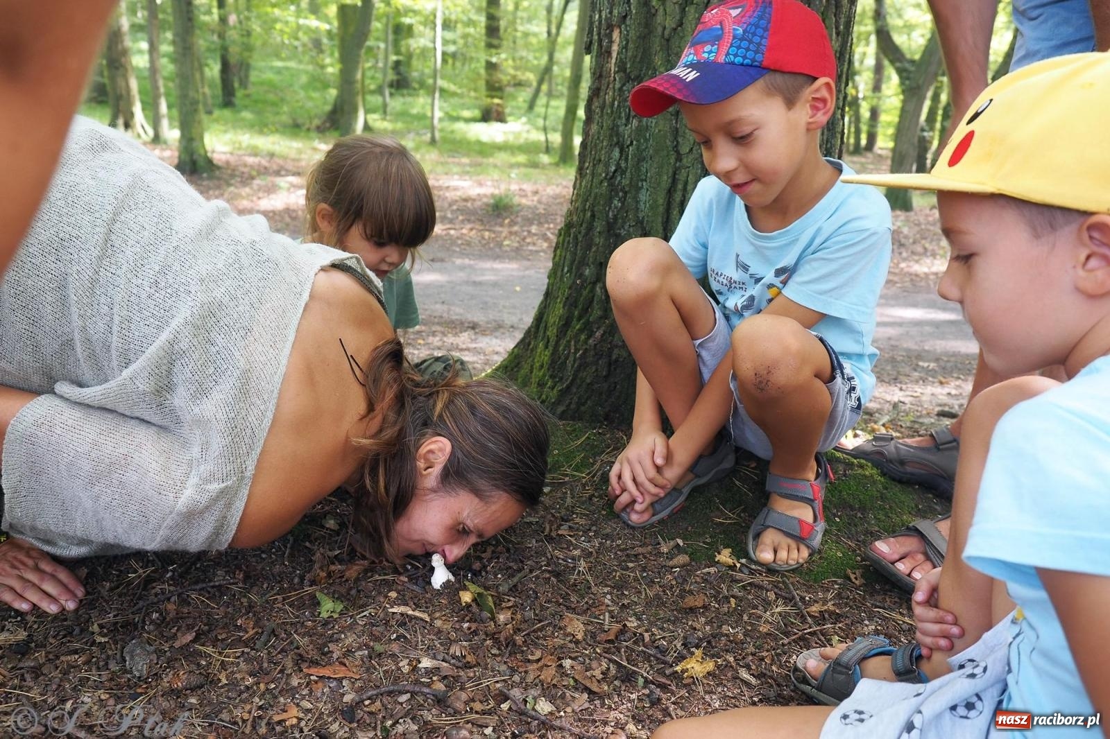 Zdjęcie w galerii na portalu naszraciborz.pl: Harmonia i balans. Las Obora dobry dla duszy i ciała [FOTO i WIDEO] wiadomości z regionu