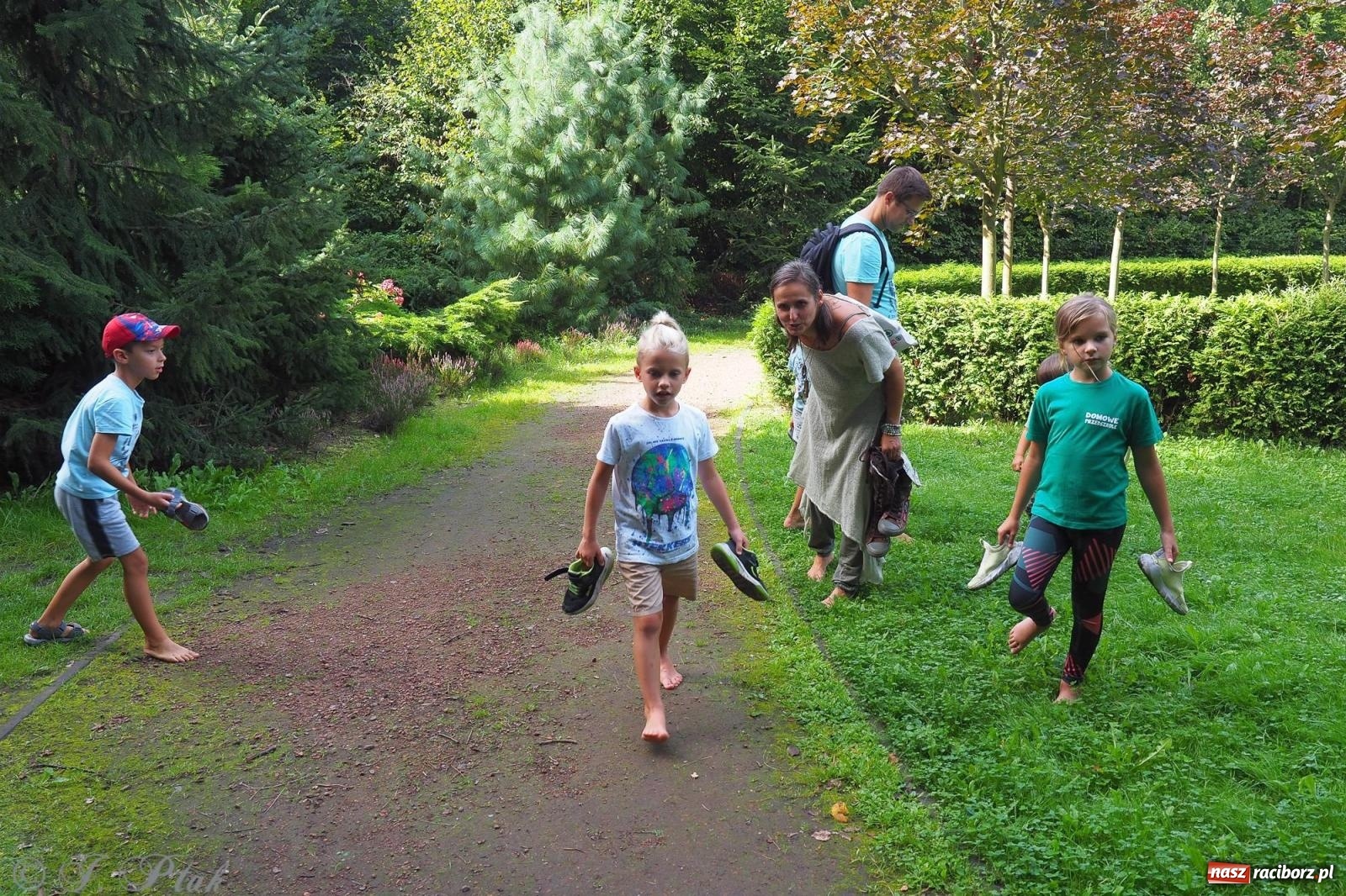 Zdjęcie w galerii na portalu naszraciborz.pl: Harmonia i balans. Las Obora dobry dla duszy i ciała [FOTO i WIDEO] wiadomości z regionu