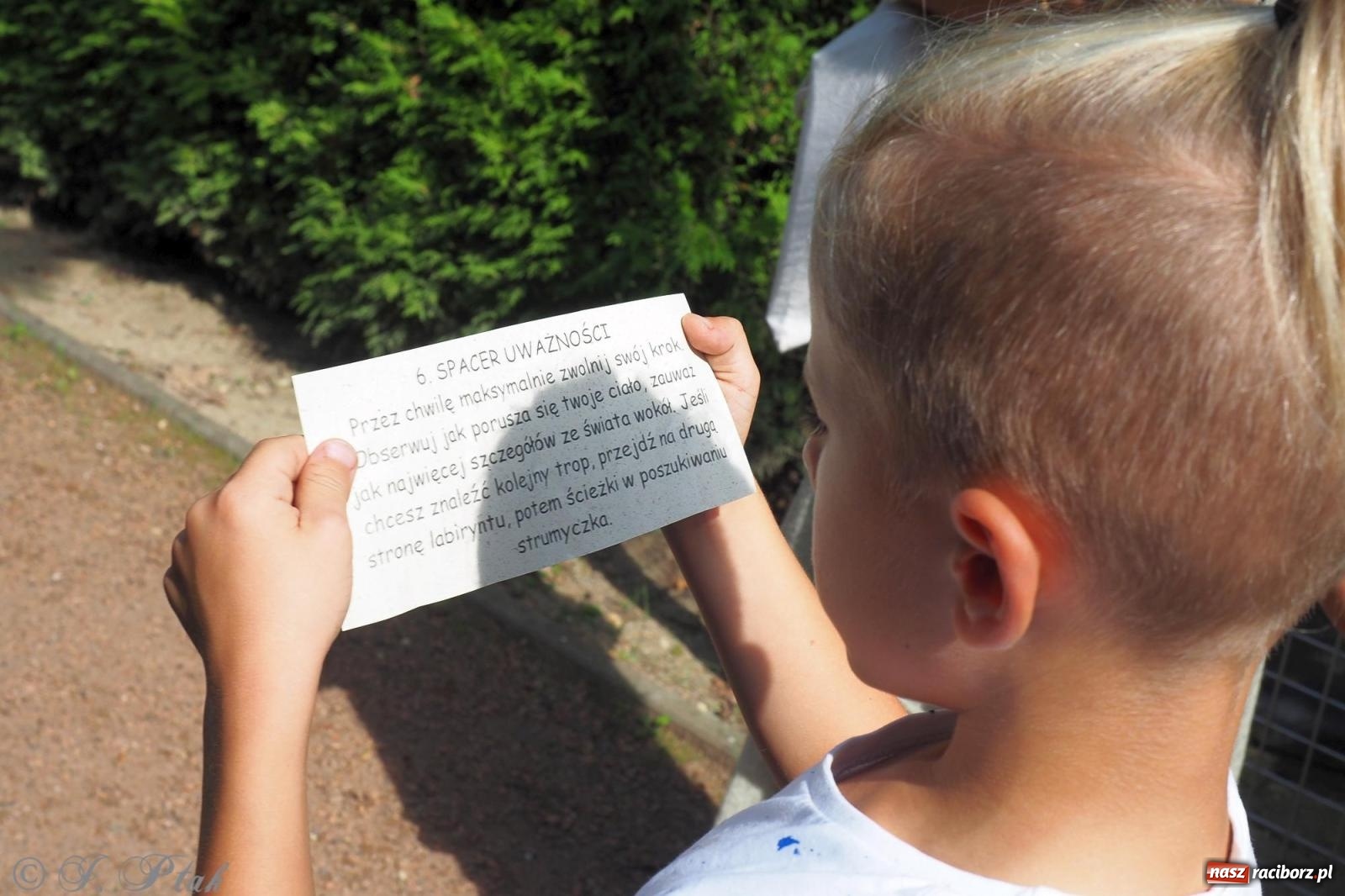 Zdjęcie w galerii na portalu naszraciborz.pl: Harmonia i balans. Las Obora dobry dla duszy i ciała [FOTO i WIDEO] wiadomości z regionu