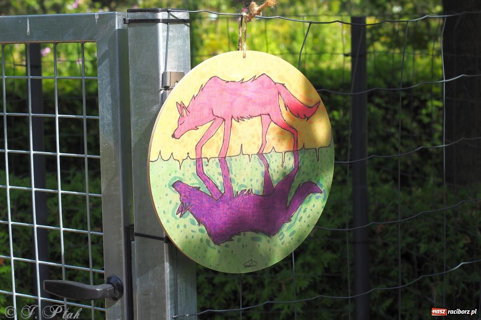 Zdjęcie w galerii na portalu naszraciborz.pl: Harmonia i balans. Las Obora dobry dla duszy i ciała [FOTO i WIDEO] wiadomości z regionu