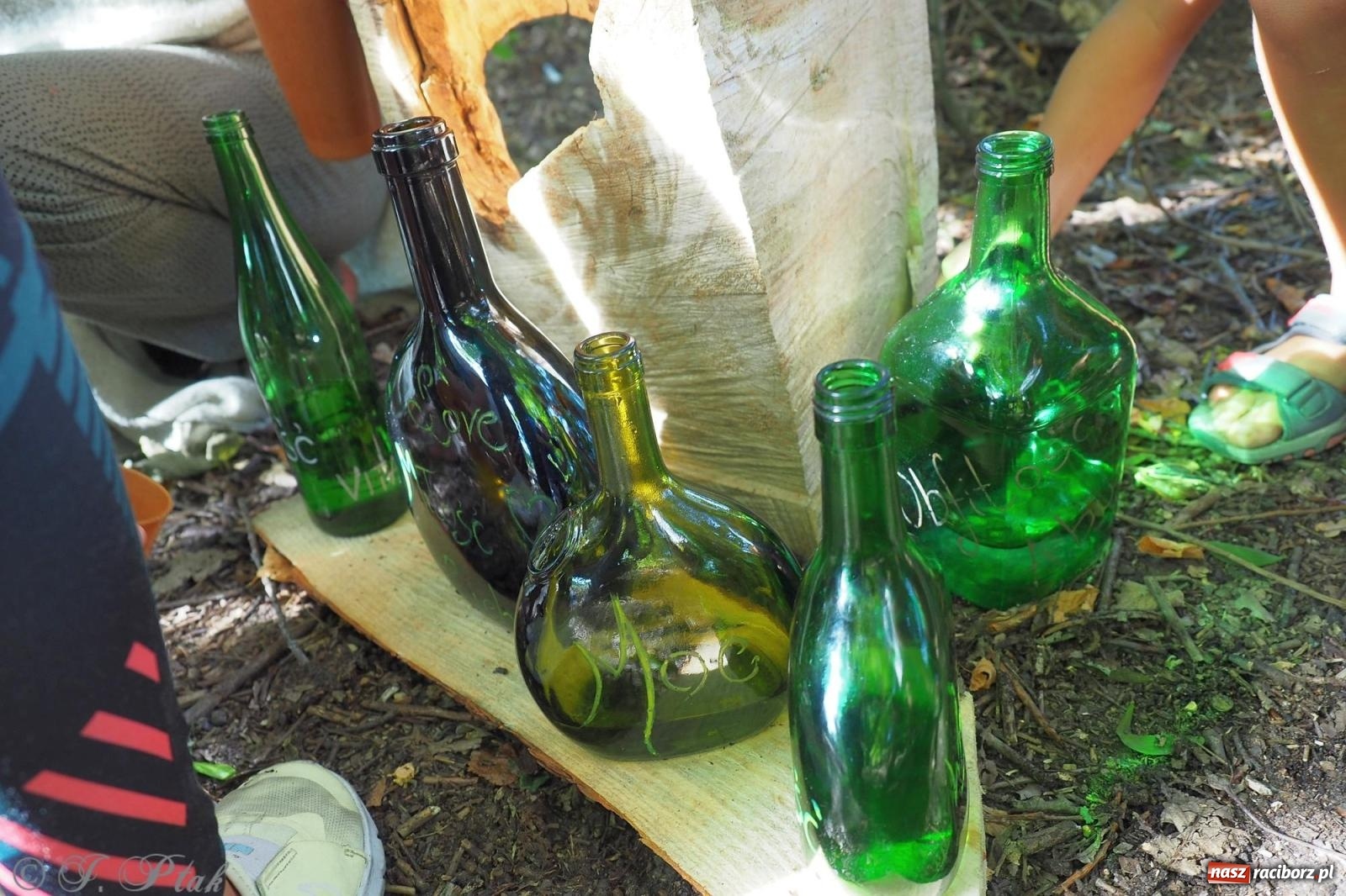 Zdjęcie w galerii na portalu naszraciborz.pl: Harmonia i balans. Las Obora dobry dla duszy i ciała [FOTO i WIDEO] wiadomości z regionu