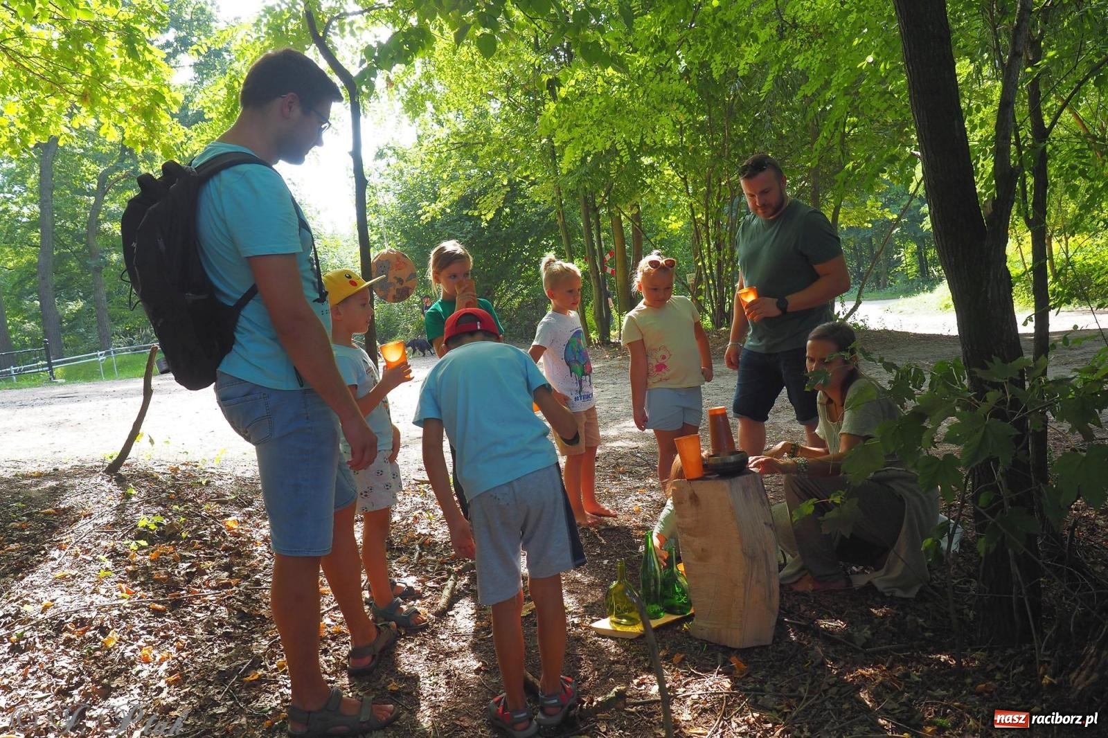 Zdjęcie w galerii na portalu naszraciborz.pl: Harmonia i balans. Las Obora dobry dla duszy i ciała [FOTO i WIDEO] wiadomości z regionu