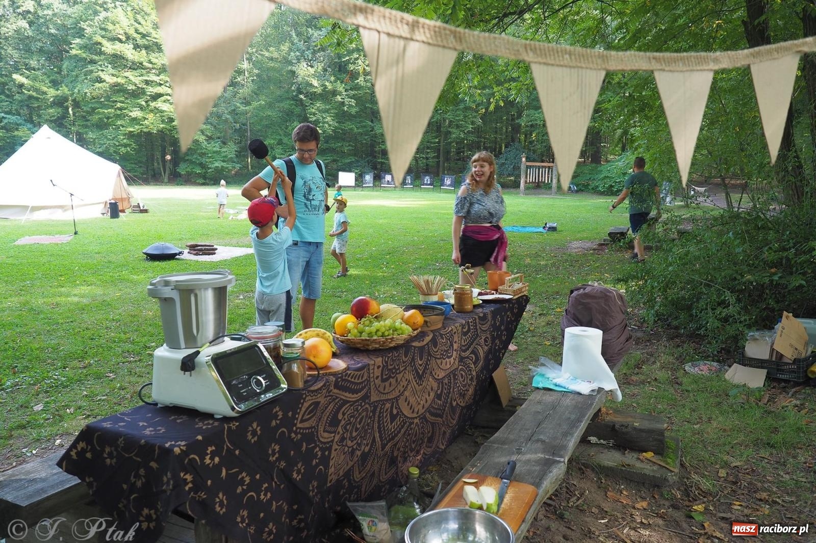 Zdjęcie w galerii na portalu naszraciborz.pl: Harmonia i balans. Las Obora dobry dla duszy i ciała [FOTO i WIDEO] wiadomości z regionu