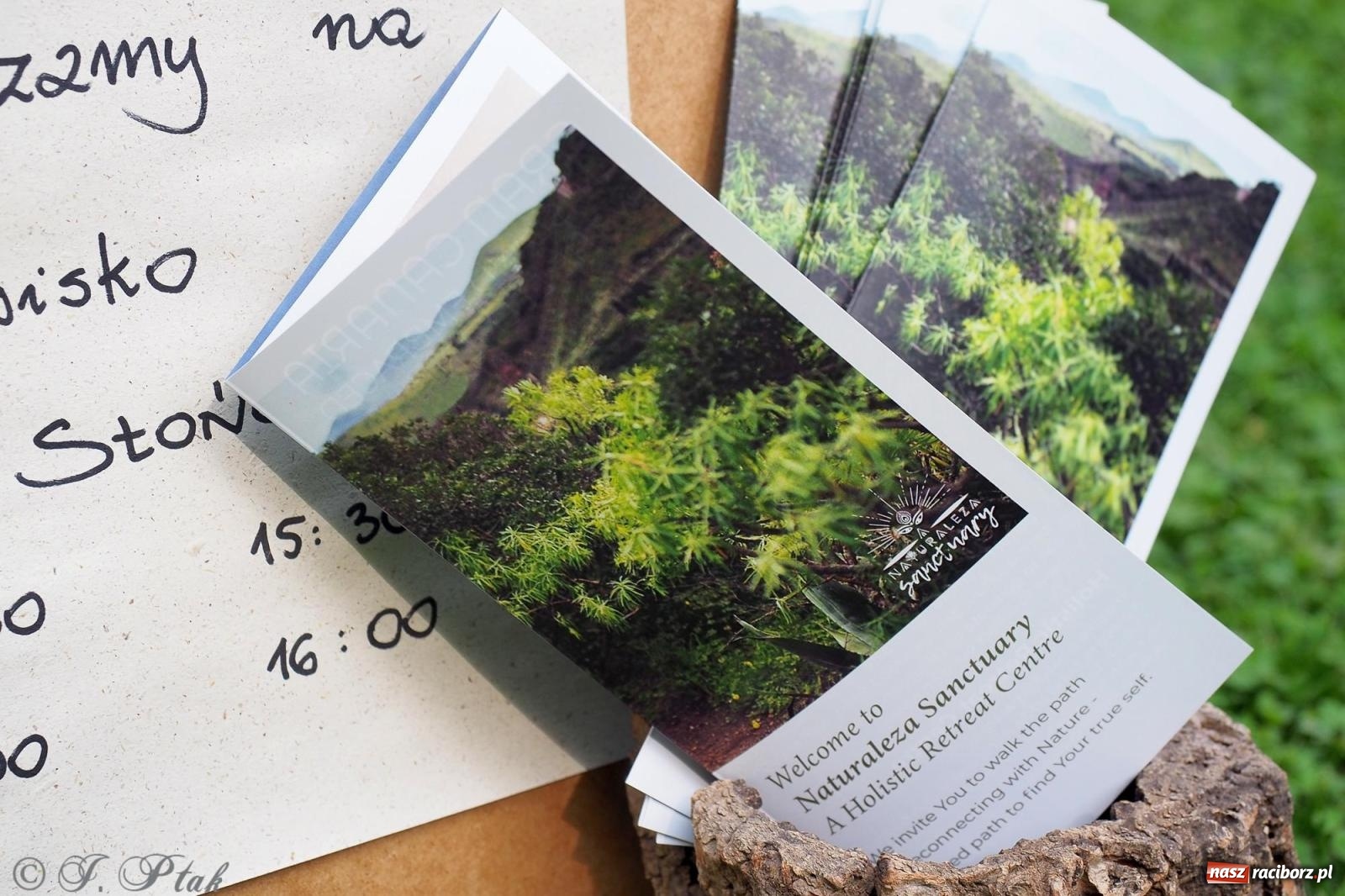 Zdjęcie w galerii na portalu naszraciborz.pl: Harmonia i balans. Las Obora dobry dla duszy i ciała [FOTO i WIDEO] wiadomości z regionu