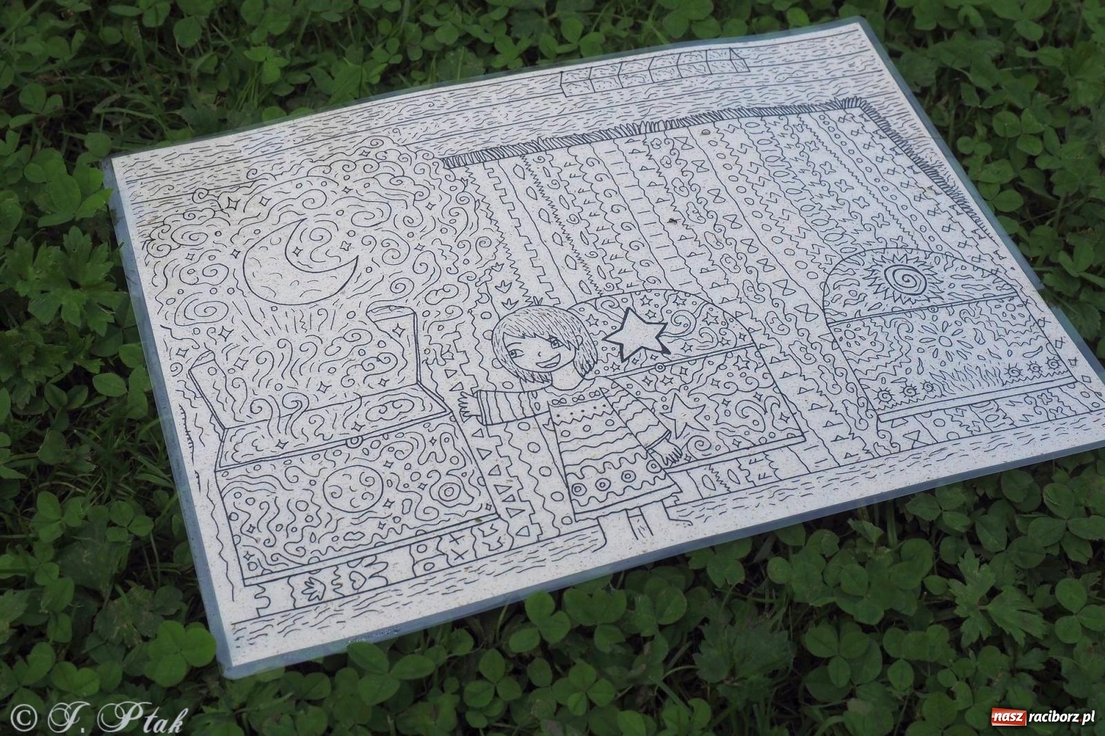 Zdjęcie w galerii na portalu naszraciborz.pl: Harmonia i balans. Las Obora dobry dla duszy i ciała [FOTO i WIDEO] wiadomości z regionu