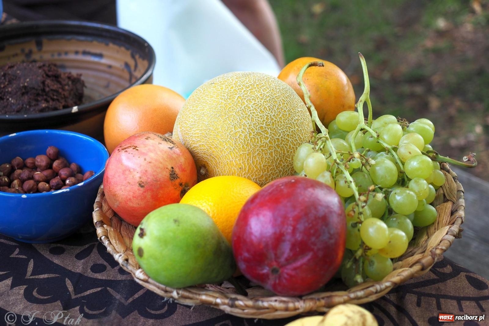 Zdjęcie w galerii na portalu naszraciborz.pl: Harmonia i balans. Las Obora dobry dla duszy i ciała [FOTO i WIDEO] wiadomości z regionu