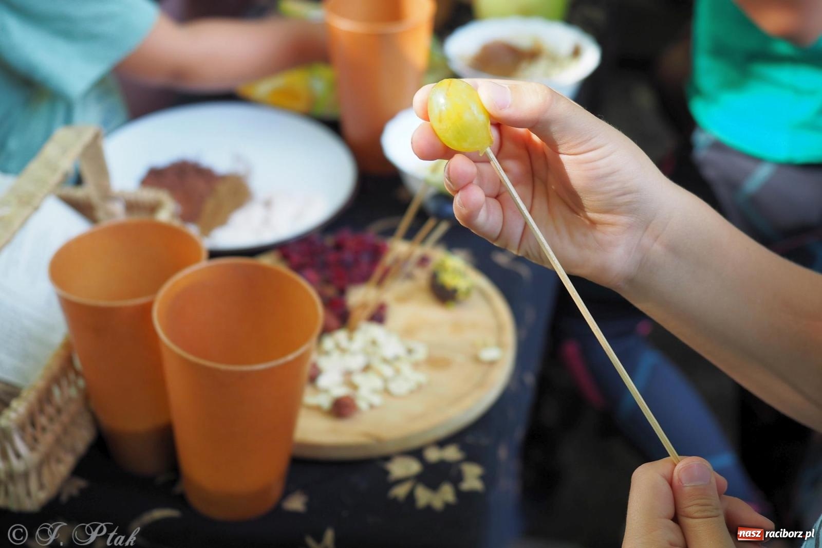 Zdjęcie w galerii na portalu naszraciborz.pl: Harmonia i balans. Las Obora dobry dla duszy i ciała [FOTO i WIDEO] wiadomości z regionu