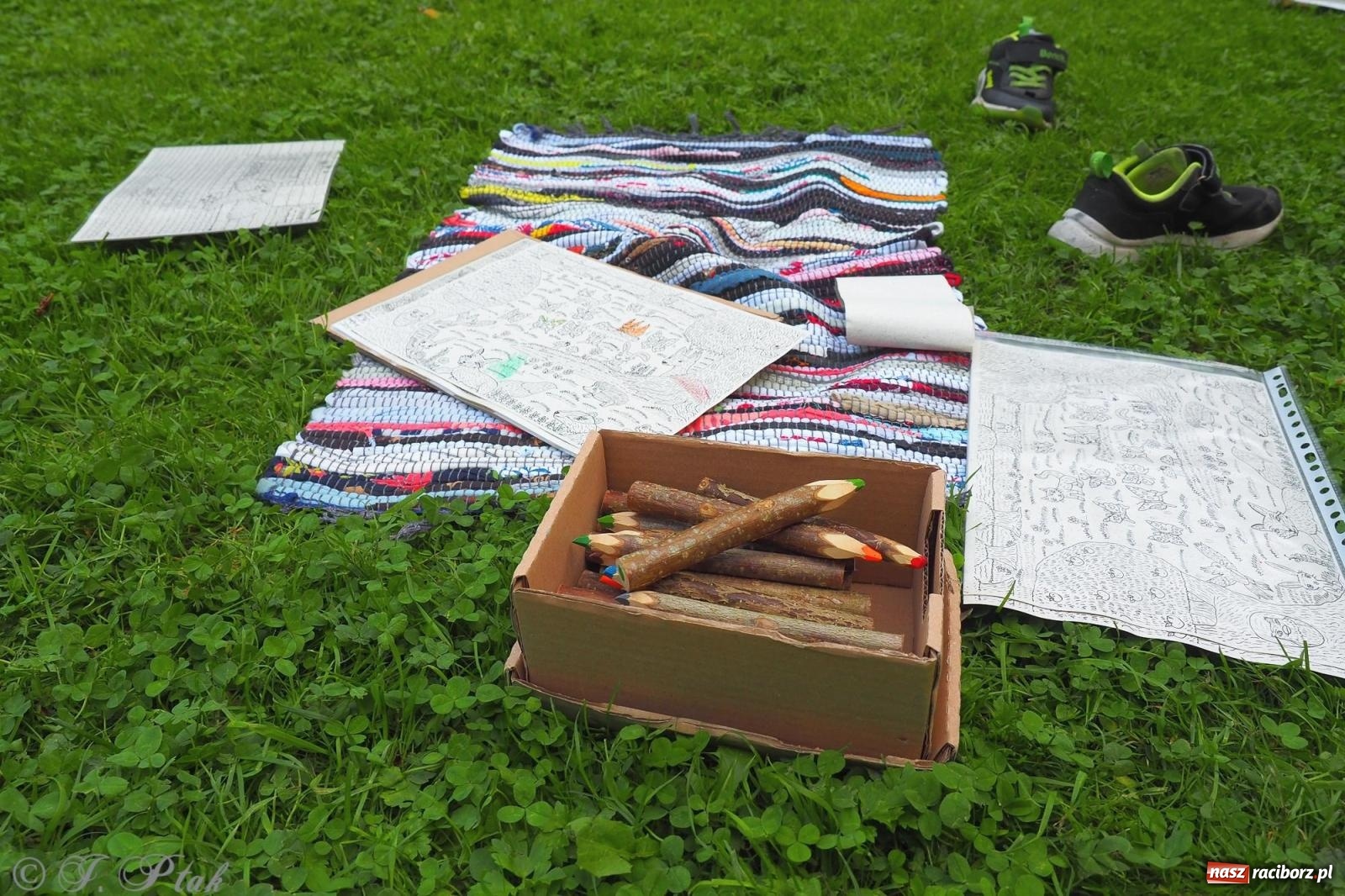 Zdjęcie w galerii na portalu naszraciborz.pl: Harmonia i balans. Las Obora dobry dla duszy i ciała [FOTO i WIDEO] wiadomości z regionu