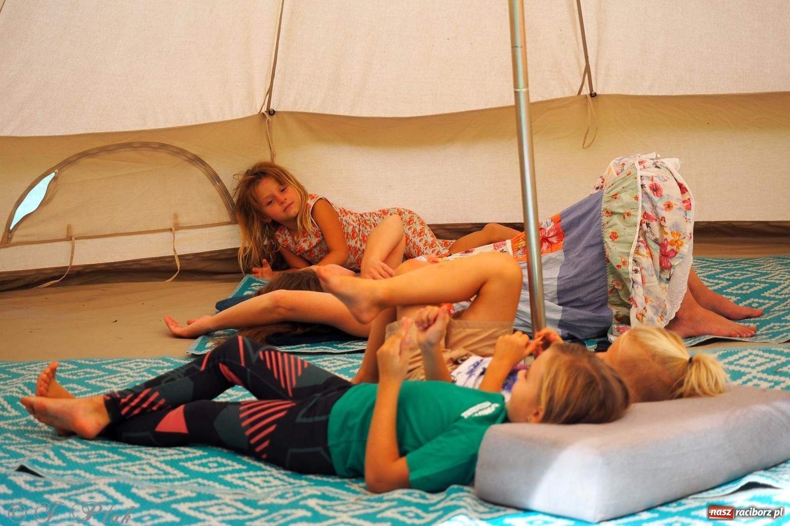 Zdjęcie w galerii na portalu naszraciborz.pl: Harmonia i balans. Las Obora dobry dla duszy i ciała [FOTO i WIDEO] wiadomości z regionu