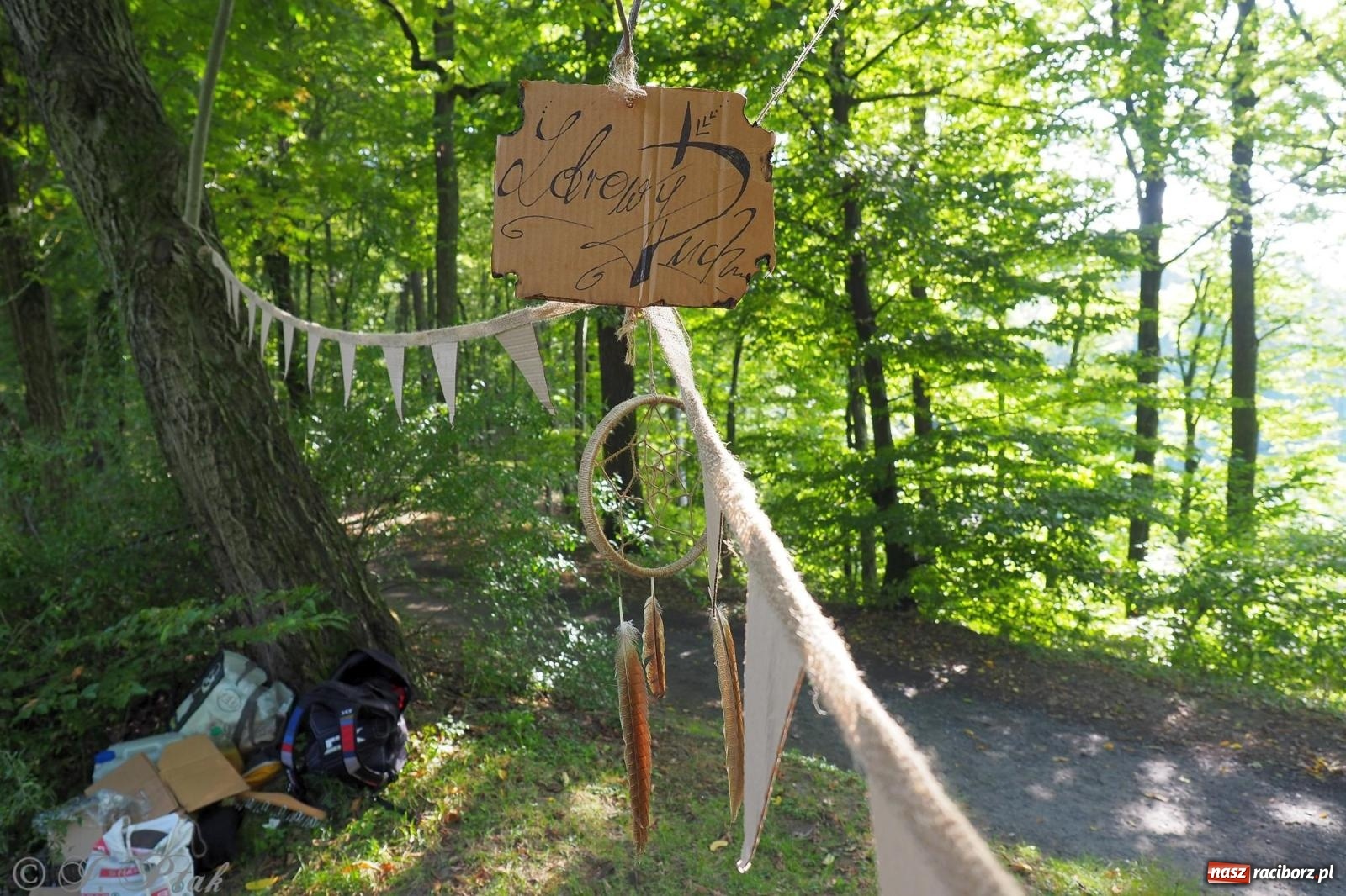 Zdjęcie w galerii na portalu naszraciborz.pl: Harmonia i balans. Las Obora dobry dla duszy i ciała [FOTO i WIDEO] wiadomości z regionu