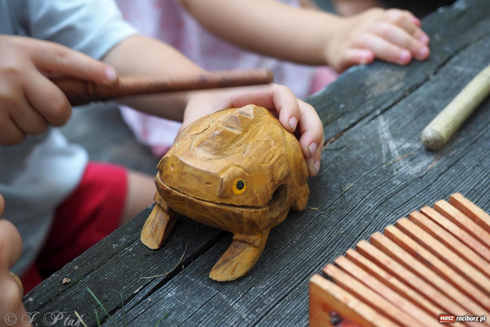 Zdjęcie w galerii na portalu naszraciborz.pl: Harmonia i balans. Las Obora dobry dla duszy i ciała [FOTO i WIDEO] wiadomości z regionu