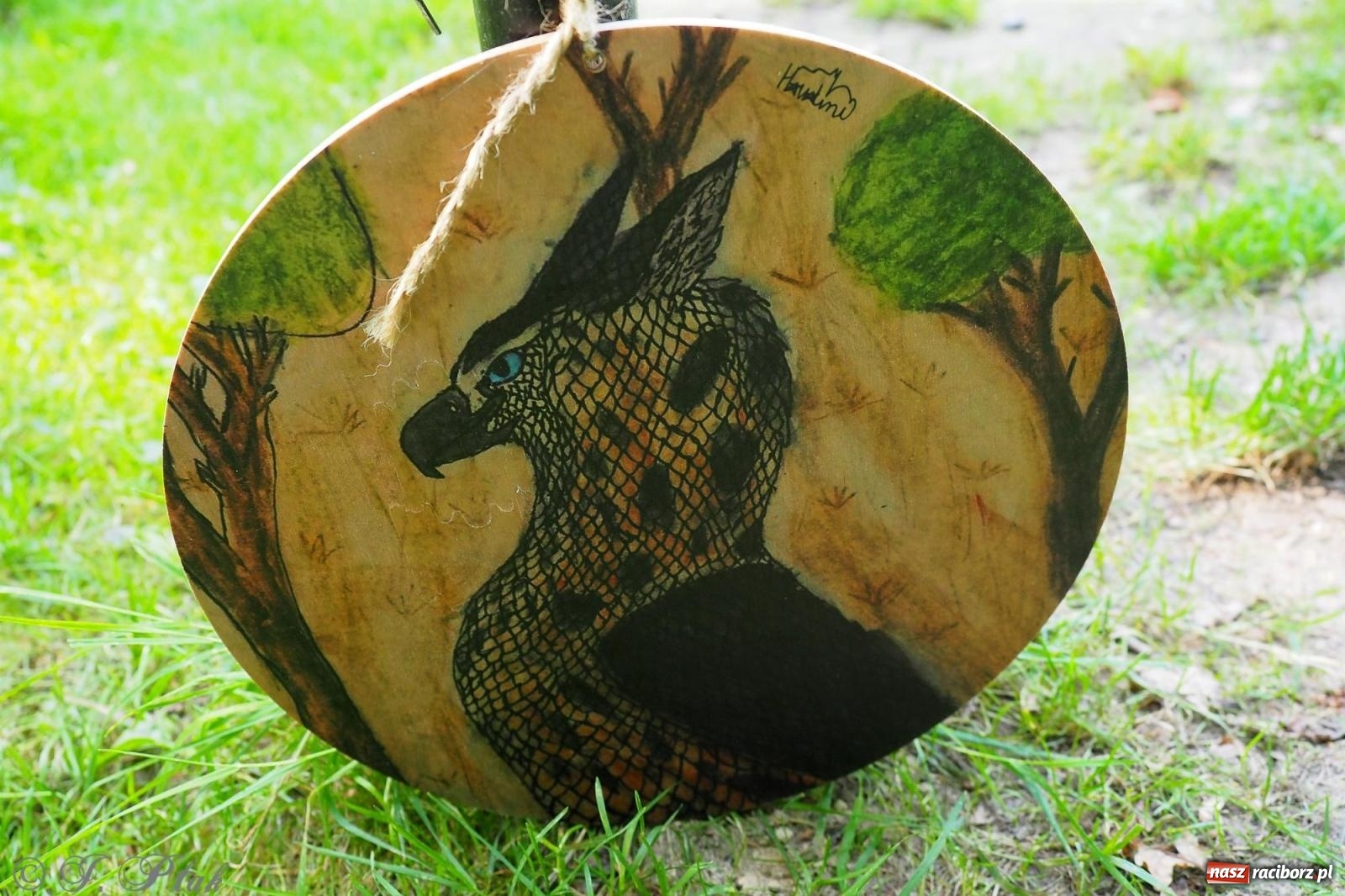 Zdjęcie w galerii na portalu naszraciborz.pl: Harmonia i balans. Las Obora dobry dla duszy i ciała [FOTO i WIDEO] wiadomości z regionu