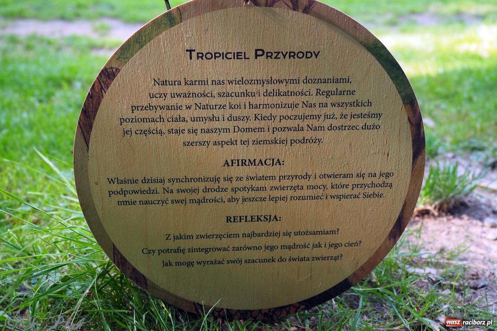 Zdjęcie w galerii na portalu naszraciborz.pl: Harmonia i balans. Las Obora dobry dla duszy i ciała [FOTO i WIDEO] wiadomości z regionu