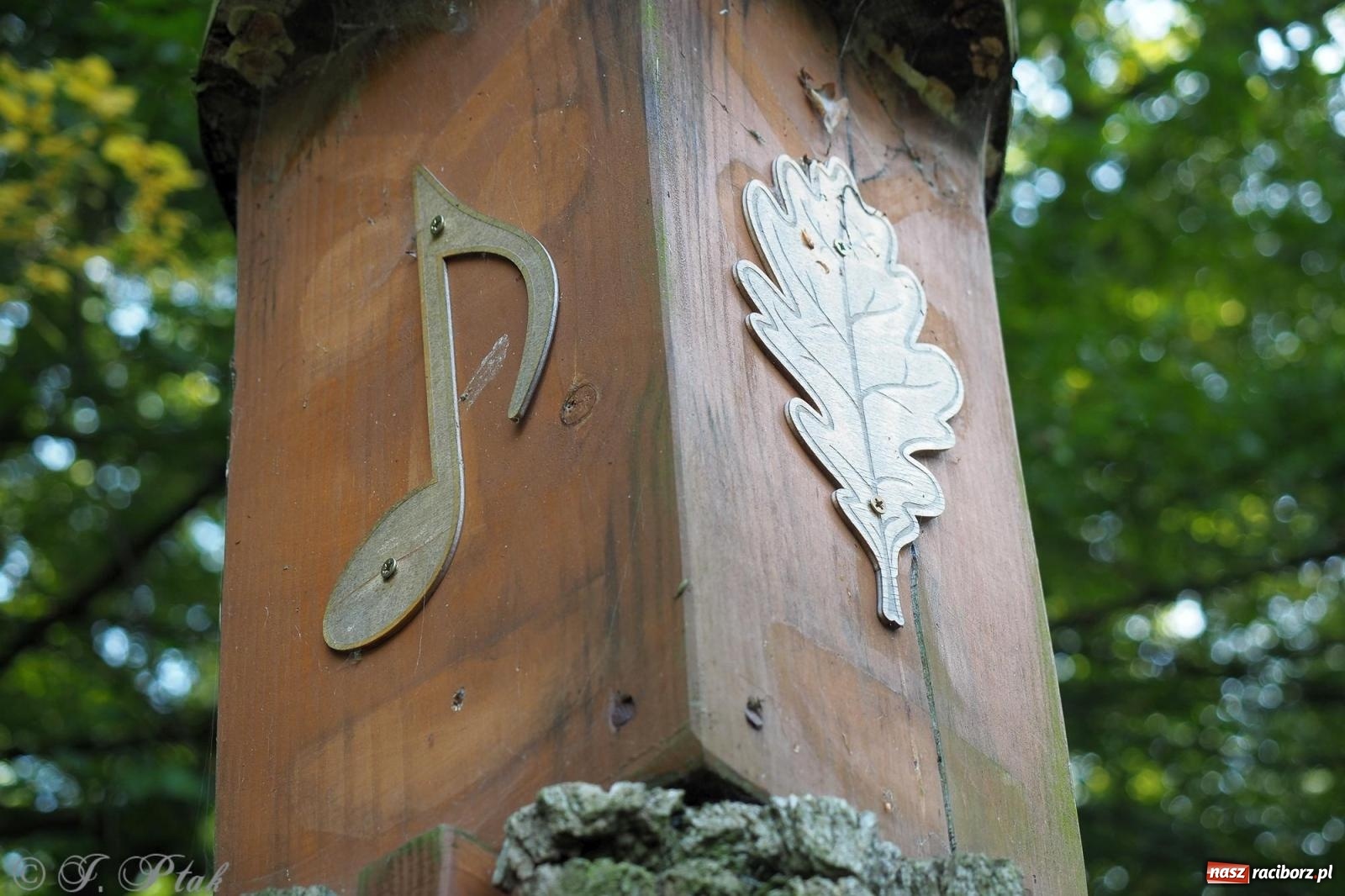 Zdjęcie w galerii na portalu naszraciborz.pl: Harmonia i balans. Las Obora dobry dla duszy i ciała [FOTO i WIDEO] wiadomości z regionu