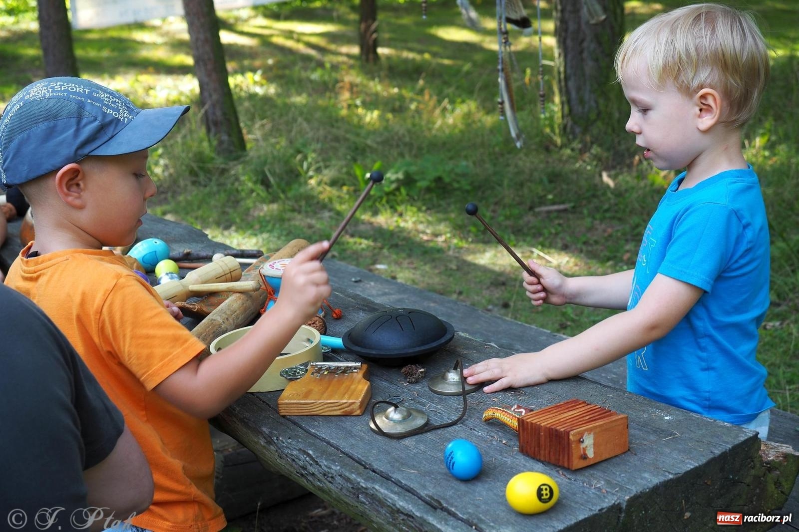 Zdjęcie w galerii na portalu naszraciborz.pl: Harmonia i balans. Las Obora dobry dla duszy i ciała [FOTO i WIDEO] wiadomości z regionu