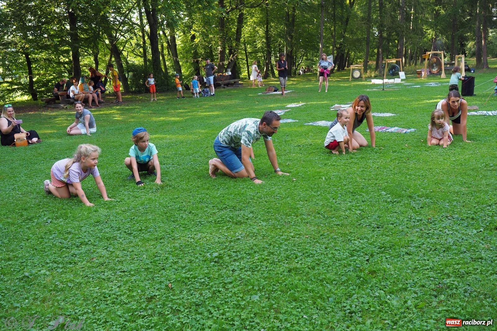 Zdjęcie w galerii na portalu naszraciborz.pl: Harmonia i balans. Las Obora dobry dla duszy i ciała [FOTO i WIDEO] wiadomości z regionu