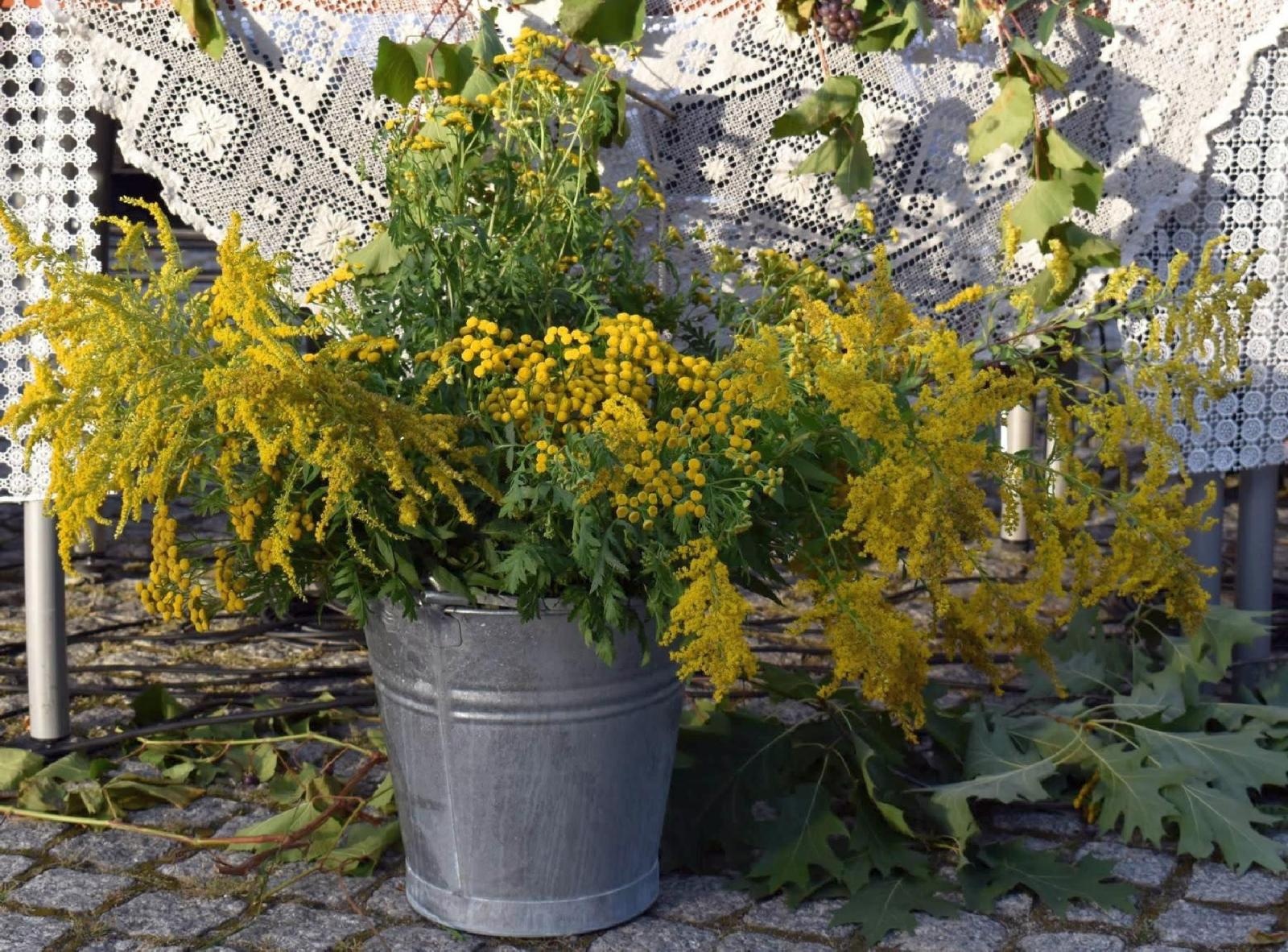 Zdjęcie w galerii na portalu naszraciborz.pl: 12. odsłona Narodowego Czytania na Zamku Piastowskim za nami wiadomości z regionu