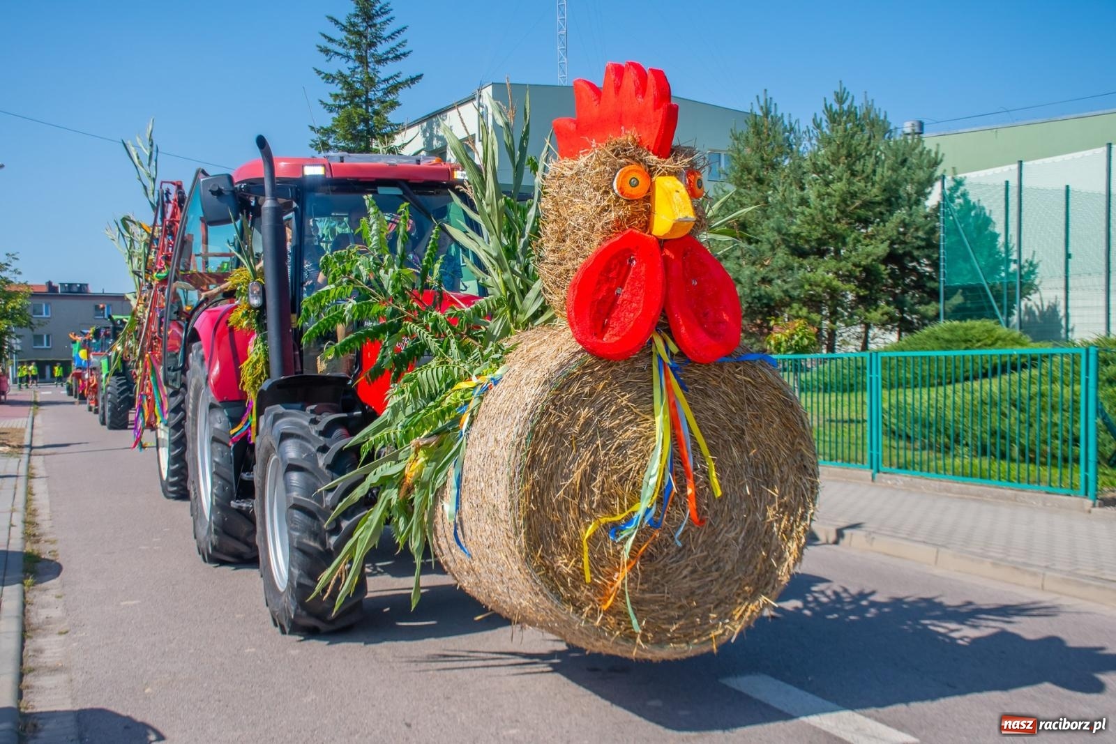 Zdjęcie w galerii na portalu naszraciborz.pl: Bieńkowicki korowód dożynkowy zachwycał kolorami wiadomości z regionu