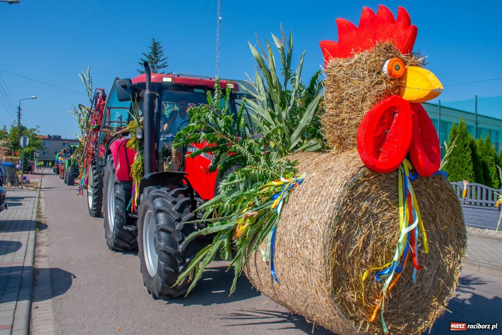 Zdjęcie w galerii na portalu naszraciborz.pl: Bieńkowicki korowód dożynkowy zachwycał kolorami wiadomości z regionu