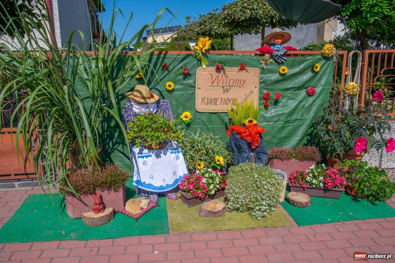 Zdjęcie w galerii na portalu naszraciborz.pl: Bieńkowicki korowód dożynkowy zachwycał kolorami wiadomości z regionu