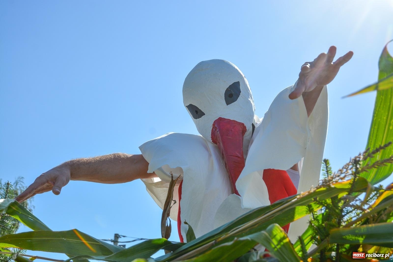 Zdjęcie w galerii na portalu naszraciborz.pl: Tu jest bocian kiszka, co przyniesie braciszka. Dożynki w Samborowicach [FOTO i WIDEO] wiadomości z regionu