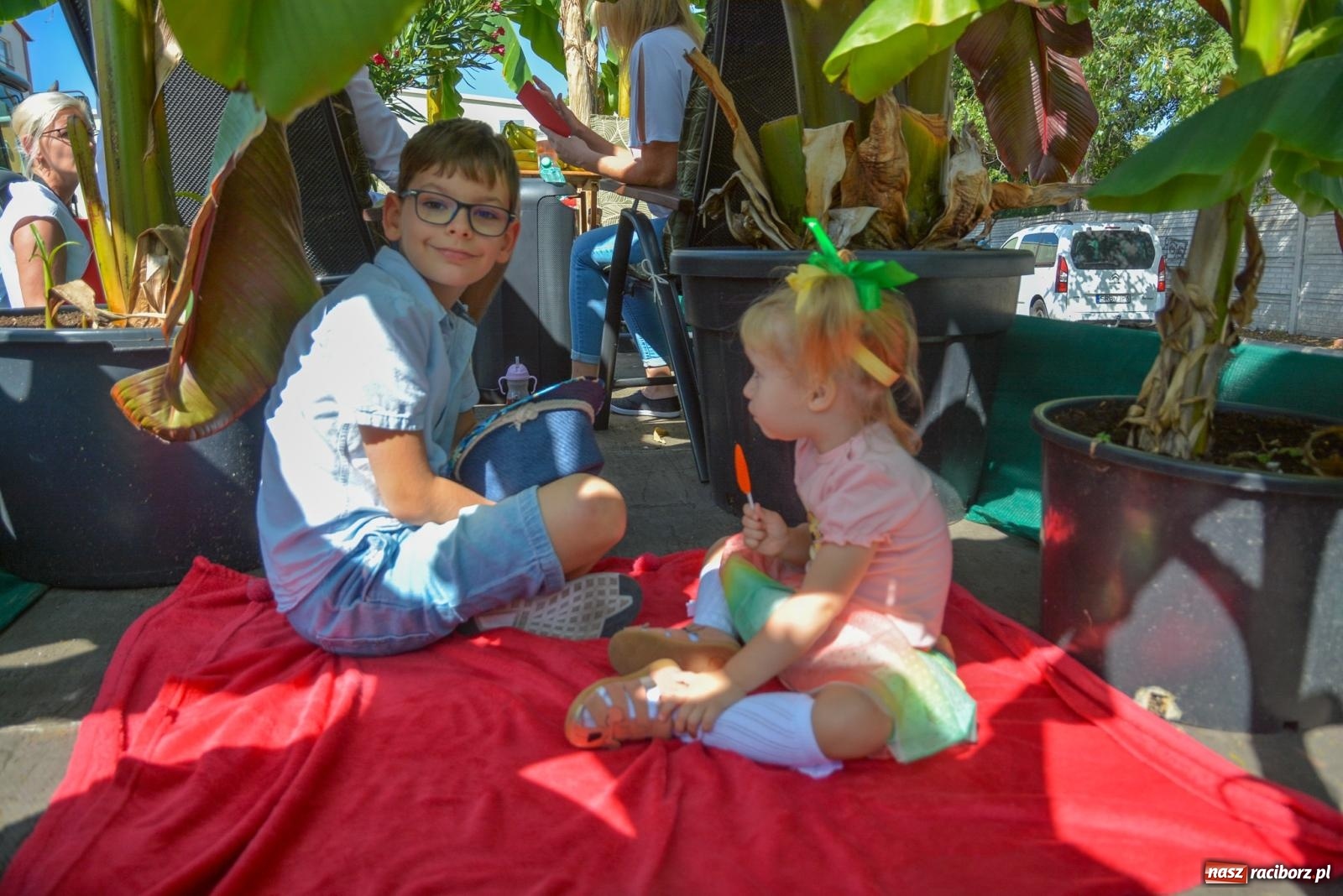 Zdjęcie w galerii na portalu naszraciborz.pl: Bahamas, banany i sołtyska na kole. Dożynki w Pietrowicach Wielkich [FOTO i WIDEO] wiadomości z regionu