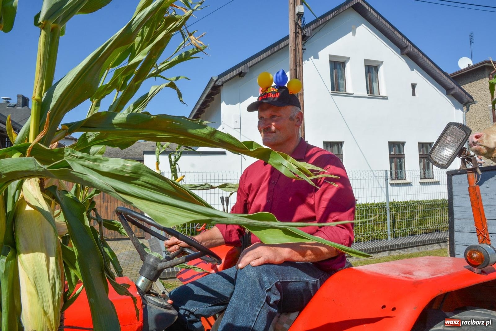 Zdjęcie w galerii na portalu naszraciborz.pl: Bahamas, banany i sołtyska na kole. Dożynki w Pietrowicach Wielkich [FOTO i WIDEO] wiadomości z regionu