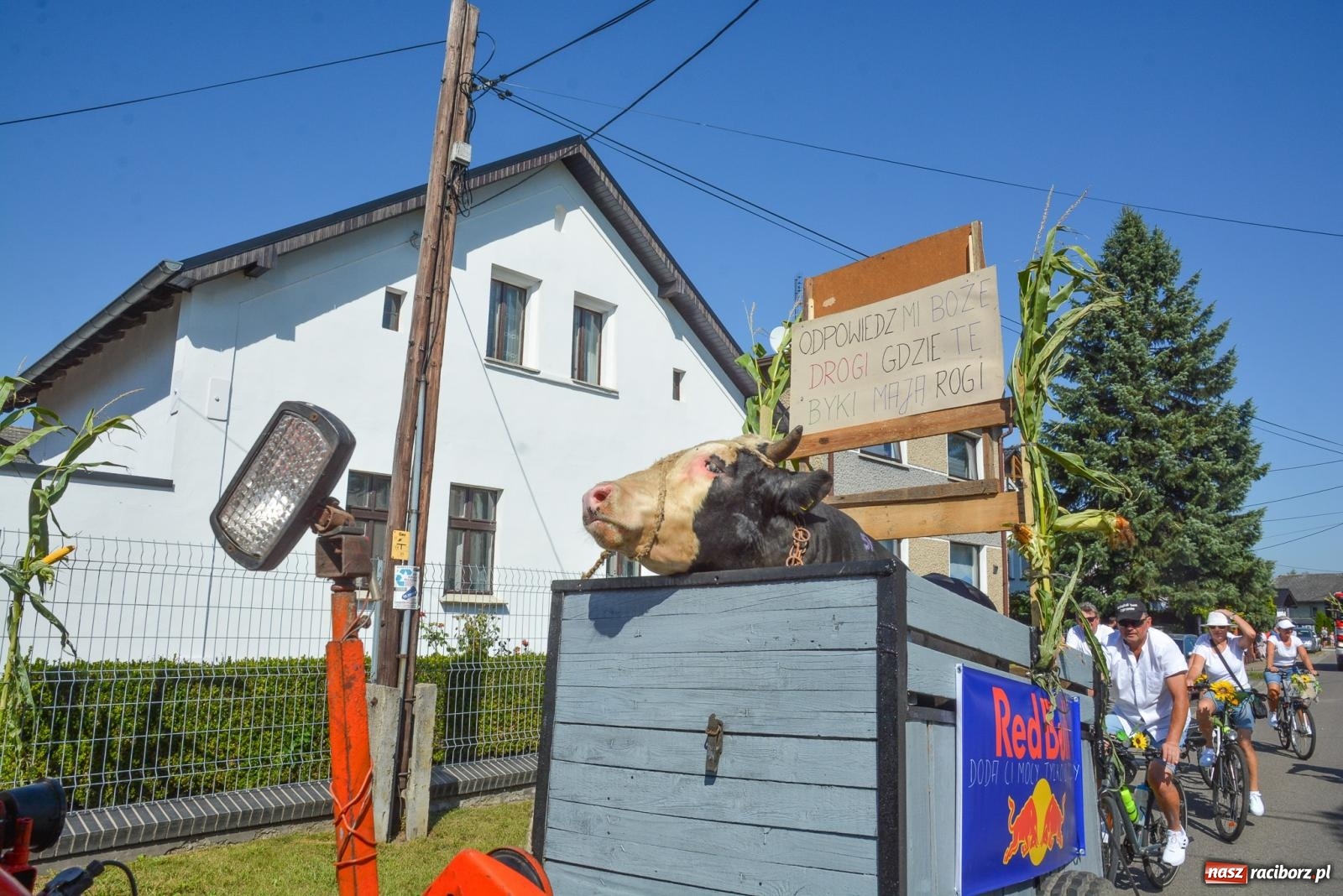Zdjęcie w galerii na portalu naszraciborz.pl: Bahamas, banany i sołtyska na kole. Dożynki w Pietrowicach Wielkich [FOTO i WIDEO] wiadomości z regionu
