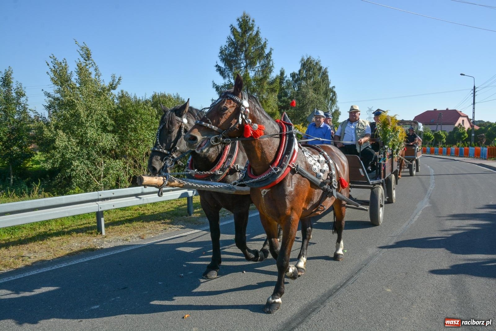Zdjęcie w galerii na portalu naszraciborz.pl: Korowód na długim dystansie. Dożynki w Rzuchowie [FOTO i WIDEO] wiadomości z regionu