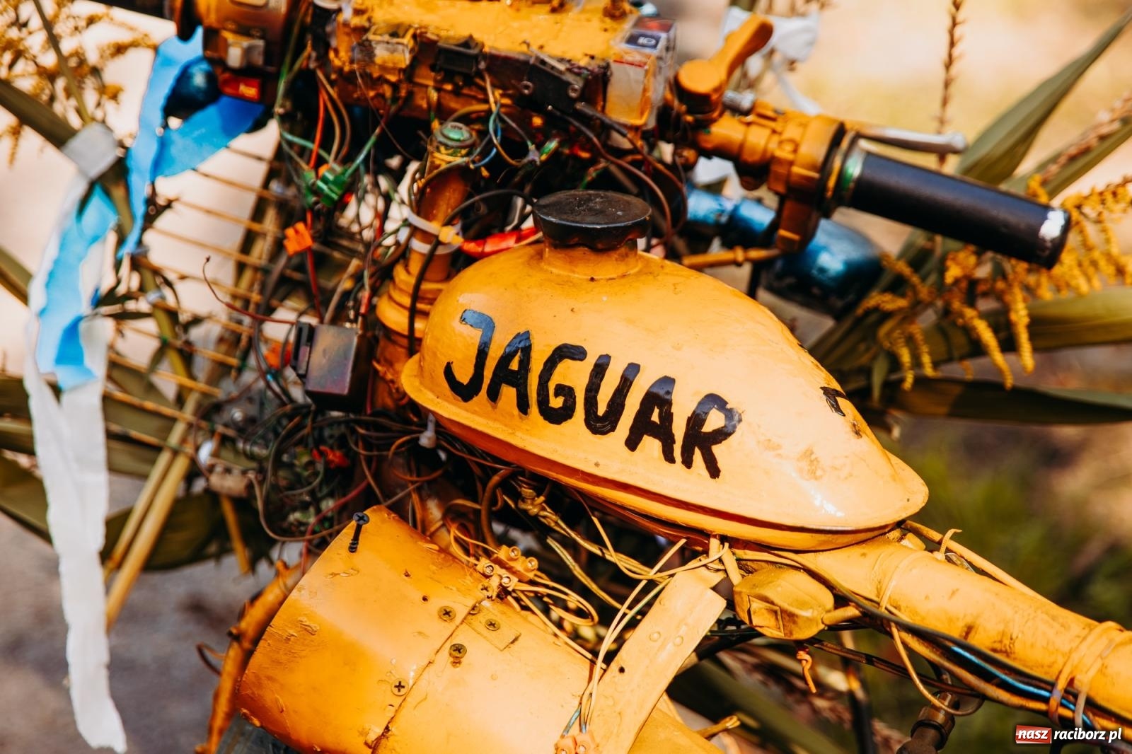 Zdjęcie w galerii na portalu naszraciborz.pl: Korowód na długim dystansie. Dożynki w Rzuchowie [FOTO i WIDEO] wiadomości z regionu