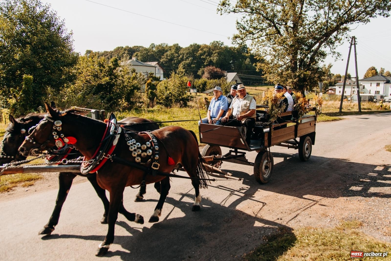 Zdjęcie w galerii na portalu naszraciborz.pl: Korowód na długim dystansie. Dożynki w Rzuchowie [FOTO i WIDEO] wiadomości z regionu