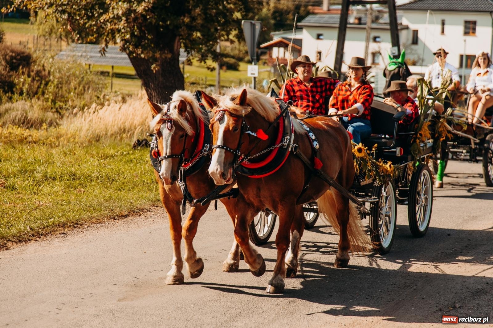Zdjęcie w galerii na portalu naszraciborz.pl: Korowód na długim dystansie. Dożynki w Rzuchowie [FOTO i WIDEO] wiadomości z regionu