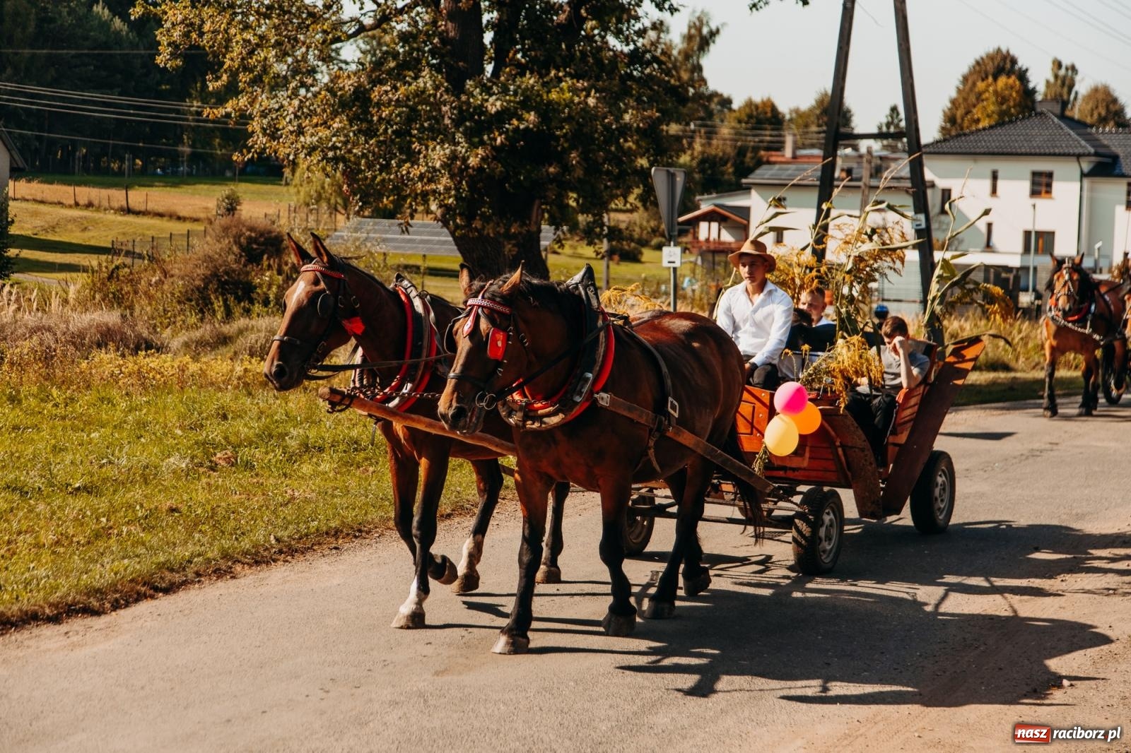 Zdjęcie w galerii na portalu naszraciborz.pl: Korowód na długim dystansie. Dożynki w Rzuchowie [FOTO i WIDEO] wiadomości z regionu