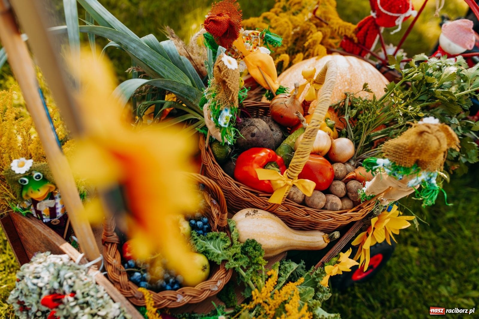 Zdjęcie w galerii na portalu naszraciborz.pl: Korowód i śląska biesiada. Dożynki w Raszczycach [FOTO i WIDEO] wiadomości z regionu