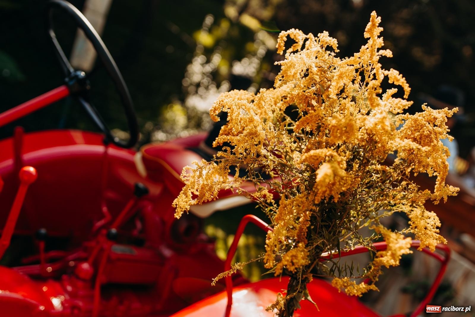 Zdjęcie w galerii na portalu naszraciborz.pl: Korowód i śląska biesiada. Dożynki w Raszczycach [FOTO i WIDEO] wiadomości z regionu