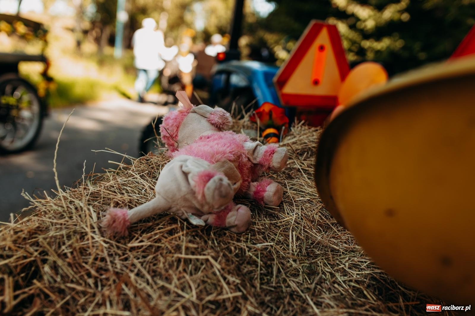 Zdjęcie w galerii na portalu naszraciborz.pl: Korowód i śląska biesiada. Dożynki w Raszczycach [FOTO i WIDEO] wiadomości z regionu