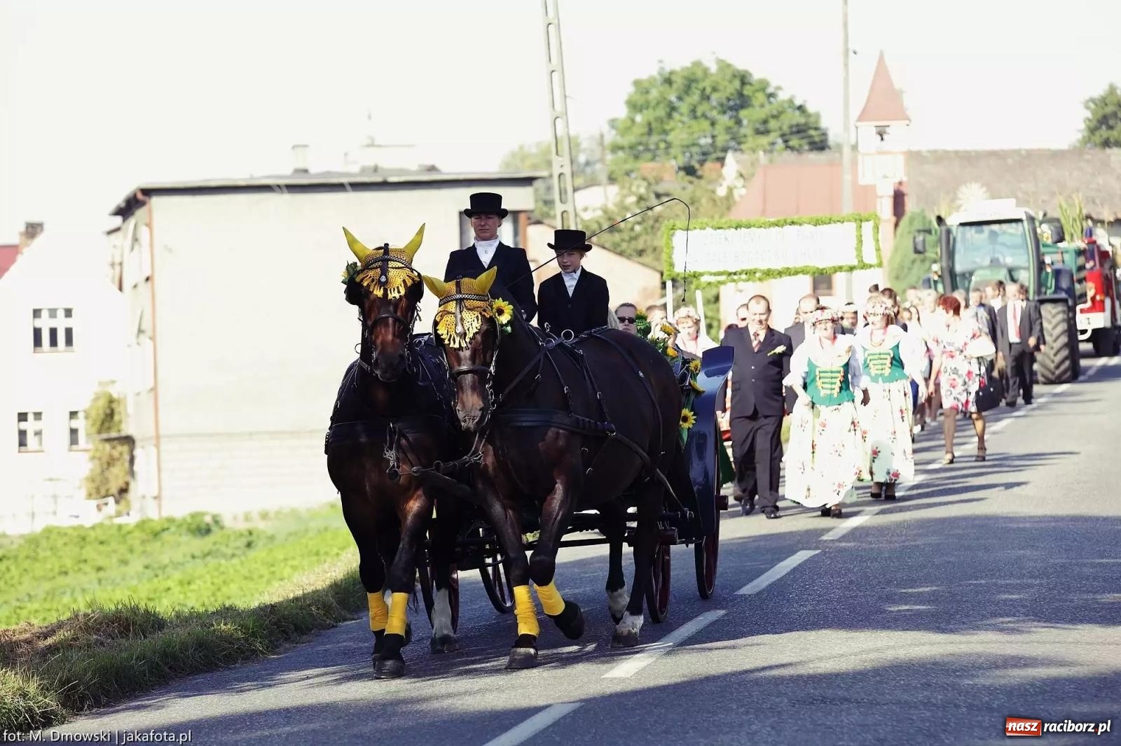 Zdjęcie w galerii na portalu naszraciborz.pl: Brzeźnica zaprasza na dożynki przy ruinach pałacu w Łubowicach wiadomości z regionu