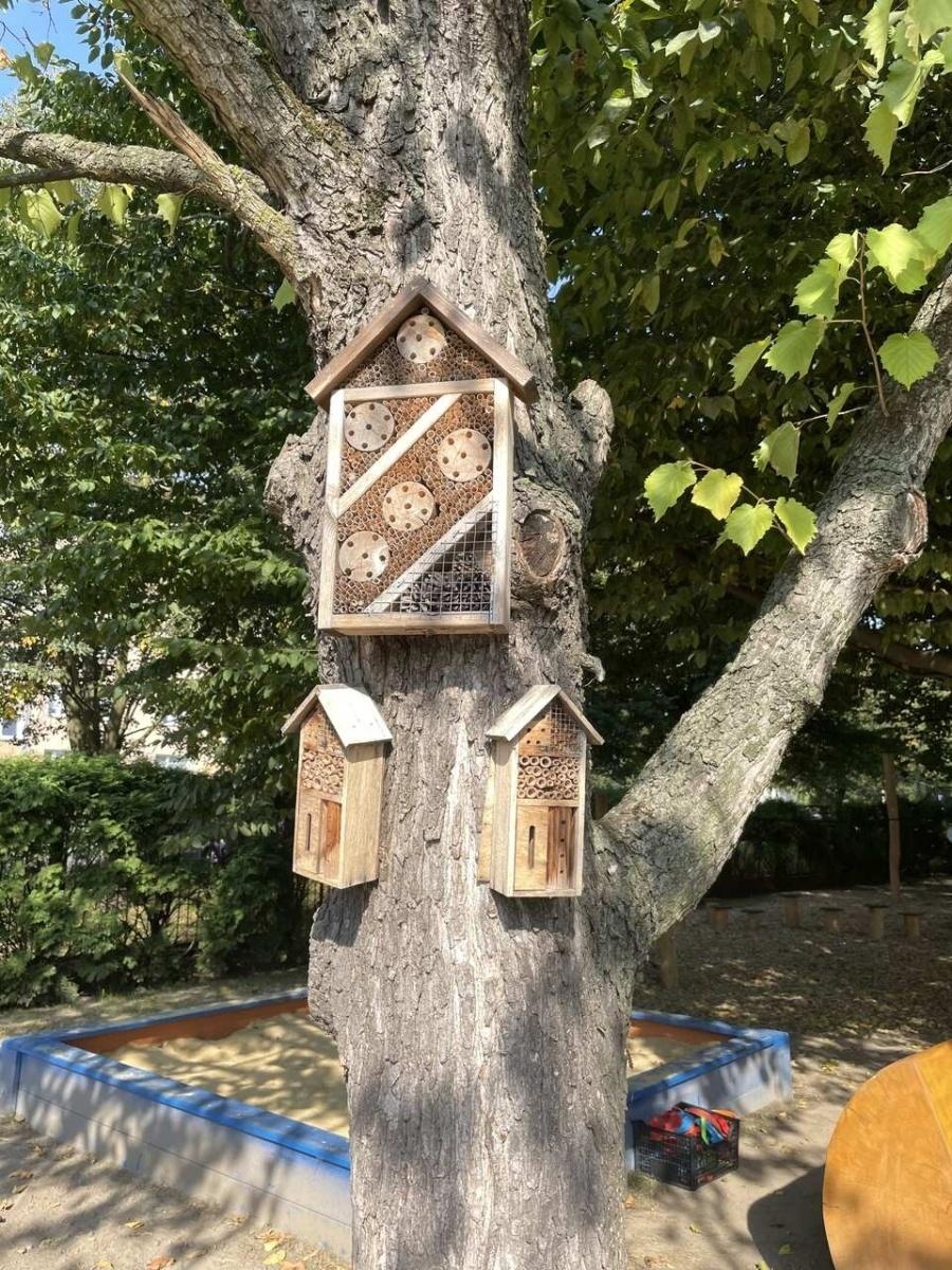 Zdjęcie w galerii na portalu naszraciborz.pl: Leśne ludki. Projekt przedszkola z Mysłowickiej doczekał się realizacji wiadomości z regionu