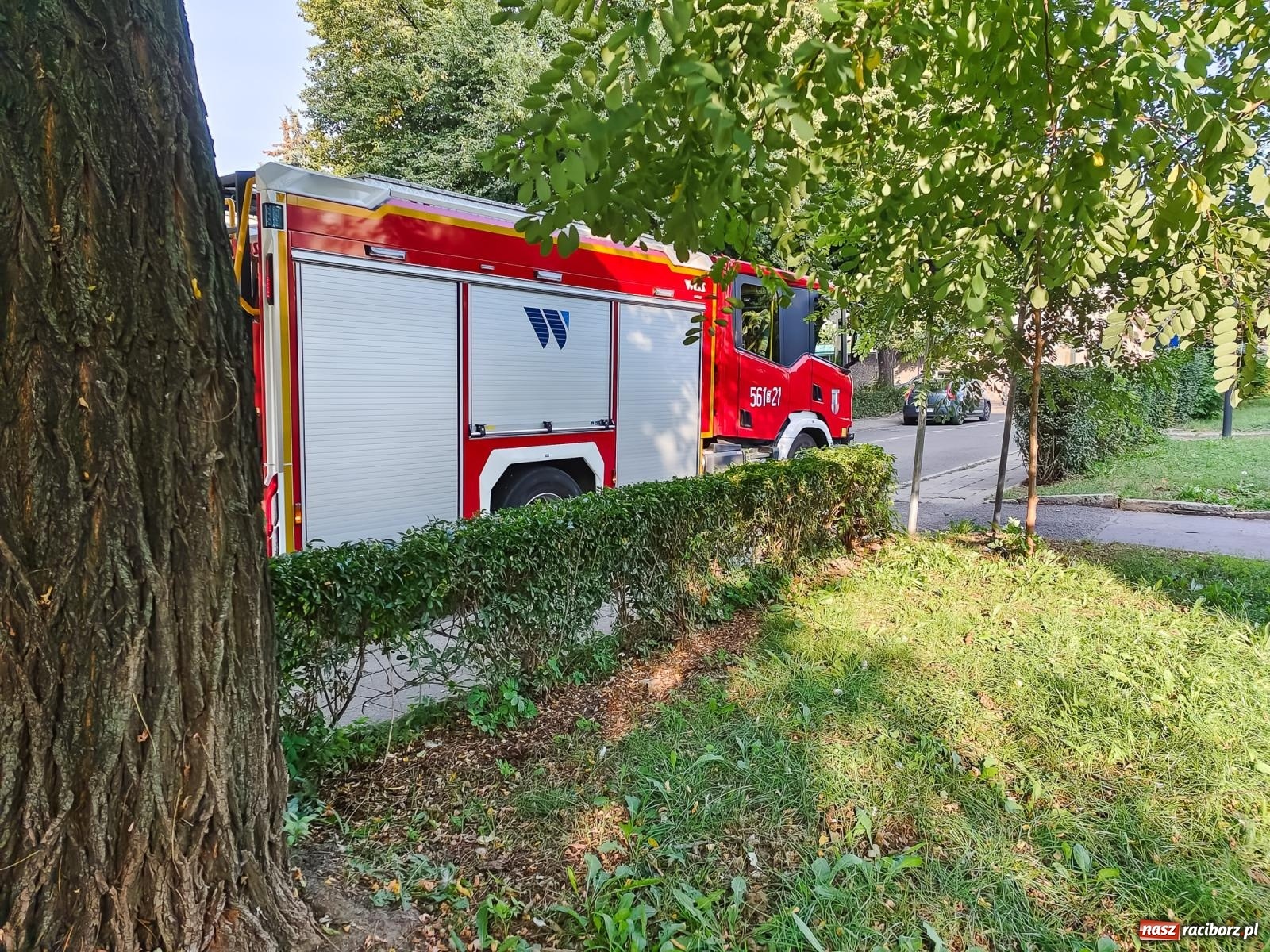 Zdjęcie w galerii na portalu naszraciborz.pl: Raport 998. Tlenek węgla w mieszkaniu przy Piwnej wiadomości z regionu