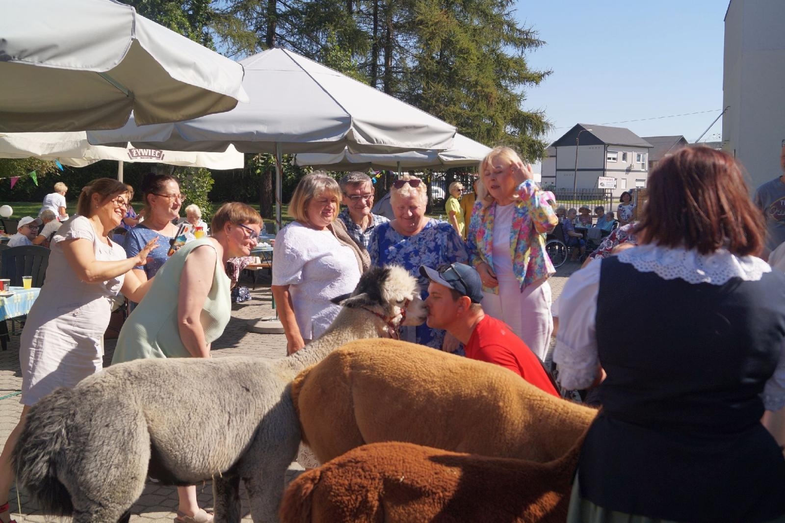 Zdjęcie w galerii na portalu naszraciborz.pl: Piknik integracyjny w raciborskiej Złotej Jesieni wiadomości z regionu